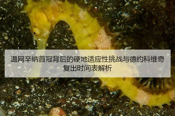 wen-wang-xin-na-shou-guan-bei-hou-de-ying-di-shi-ying-xing-tiao-zhan-yu-de-yue-ke-wei-qi-fu-chu-shi-jian-biao-jie-xi-3-814.jpg